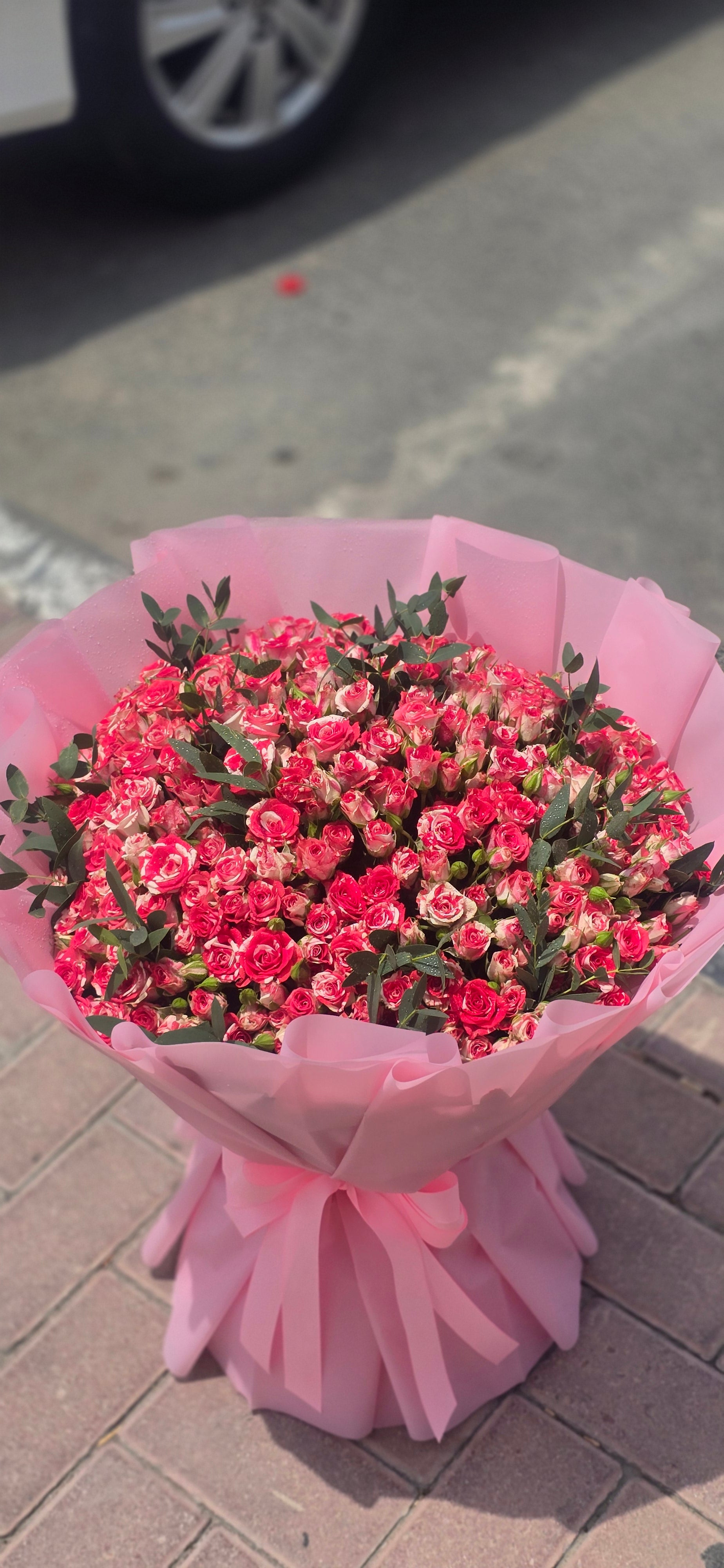 60 Baby Rose