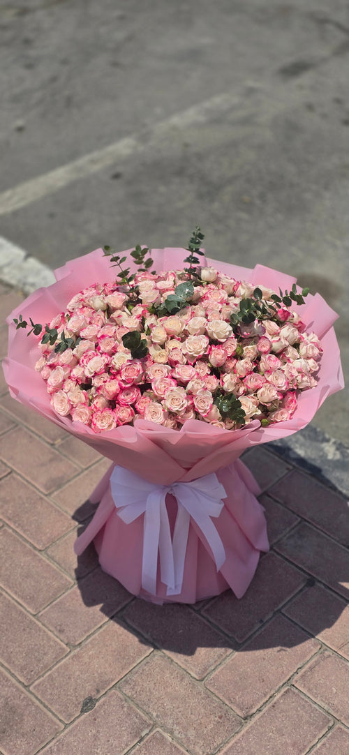 50 BABY ROSE