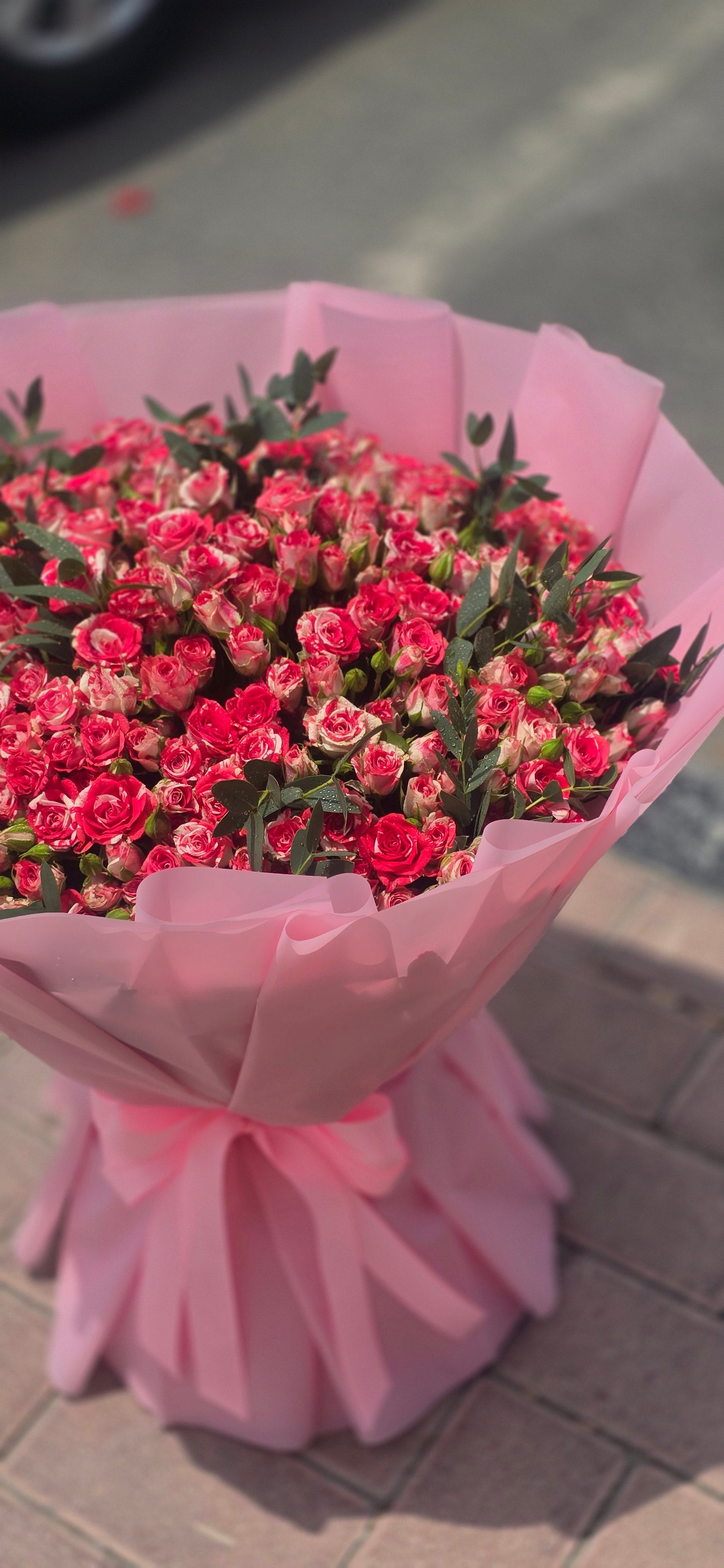 60 Baby Rose